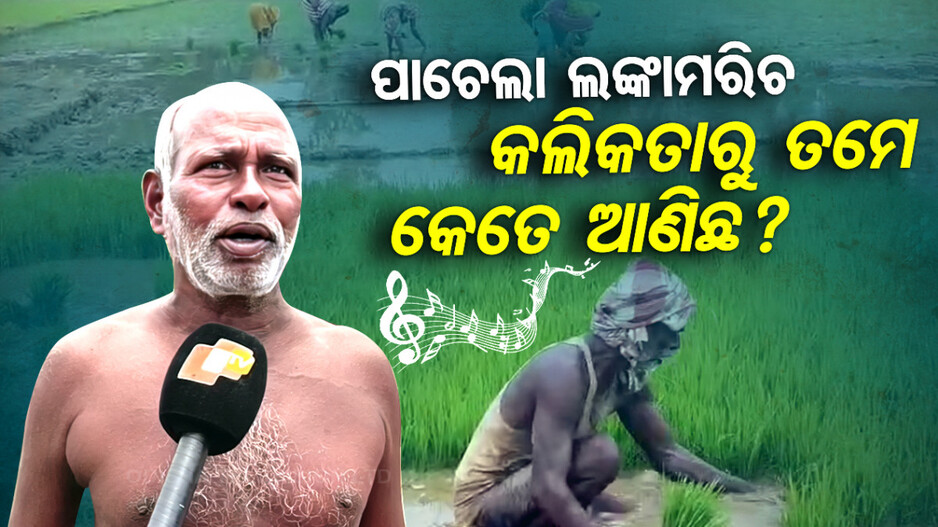 ପାଚେଲା ଲଙ୍କାମରି କଲିକତାରୁ ତମେ କେତେ ଆଣିଛ ?