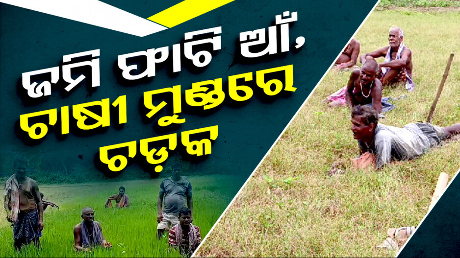 ଶ୍ରାବଣରେ ଜମି ଫାଟି ଆଁ କରିଛି; ମୁଣ୍ଡରେ ହାତ ଦେଇ ବସିଛନ୍ତି ଚାଷୀ