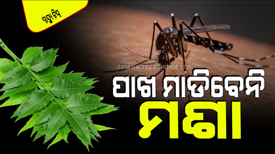 Health Tips: ବ୍ୟାପିବାରେ ଲାଗିଛି ଡେଙ୍ଗୁ-ମ୍ୟାଲେରିଆ; ଏଥିରୁ ରକ୍ଷା ପାଇବା ପାଇଁ କରନ୍ତୁ ଏହି ଉପାୟ