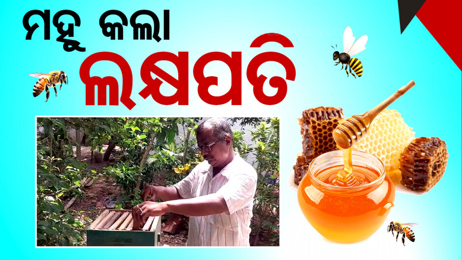 Special Story: ନିଶା ହେଲା ପେଶା; ମହୁ ଚାଷ କରି ରୋଜଗାର କରୁଛନ୍ତି ଲକ୍ଷ ଲକ୍ଷ ଟଙ୍କା...