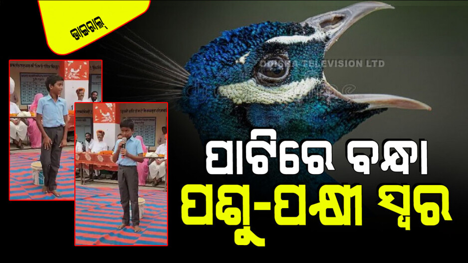 Viral Video: ଆଶ୍ଚର୍ଯ୍ୟ କଲା କୁନି ପୁଅର ପ୍ରତିଭା; ପାଟିରେ ମୟୂର ଆଉ କୋଇଲିର ଅଦ୍ଭୁତ ସ୍ୱର