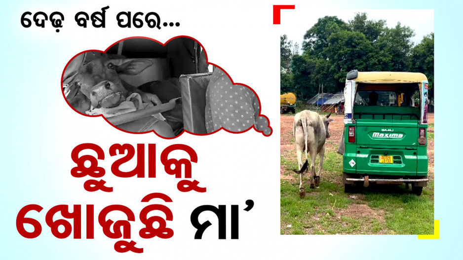 ଦେଢ଼ ବର୍ଷ ପରେ ଛୁଆକୁ ଖୋଜୁଛି ମା’, ଚିକିତ୍ସା ପାଇଁ ଆସି ଆଉ ଫେରିନି