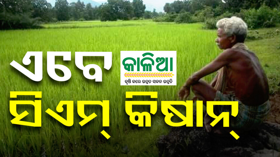 କାଳିଆ ବଦଳରେ ସିଏମ୍ କିଷାନ୍, ୩ଟି କିସ୍ତିରେ ମିଳିବ ୧୨,୫୦୦ ଟଙ୍କା
