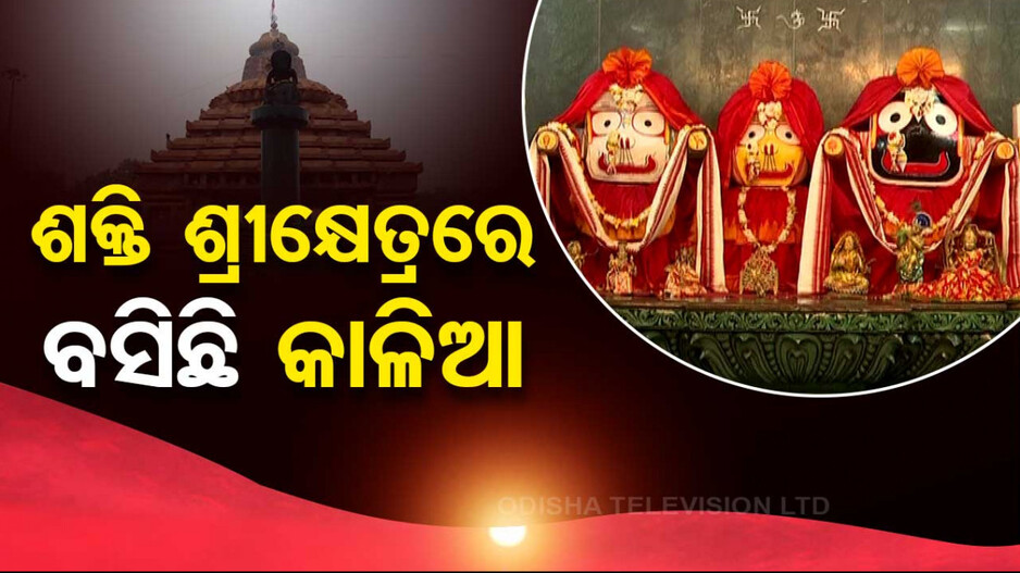 ଶକ୍ତି ଶ୍ରୀକ୍ଷେତ୍ରରେ ବସିଛି କାଳିଆ