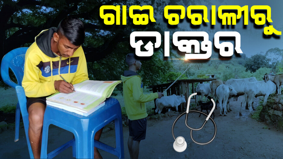 ଗାଈ ଚରାଳୀରୁ ଡାକ୍ତର