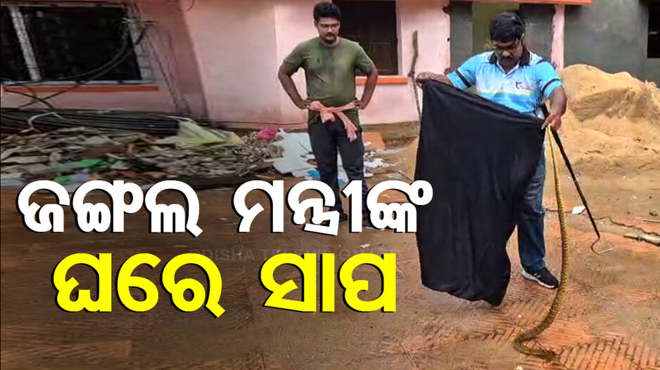 ଜଙ୍ଗଲ ଓ ପରିବେଶ ମନ୍ତ୍ରୀଙ୍କ ବାସଭବନରୁ ବହାରିଲା ସାପ !