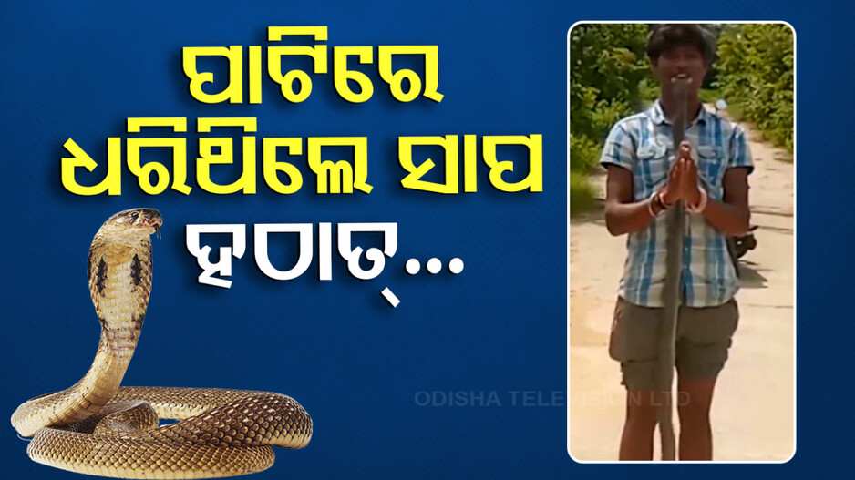ପାଟିରେ ରଖିଥିଲେ ନାଗ ସାପ ମୁଣ୍ଡ, ଚାଲିଗଲା ଜୀବନ; ଆଶ୍ଚର୍ଯ୍ୟ କରିବ କାରଣ