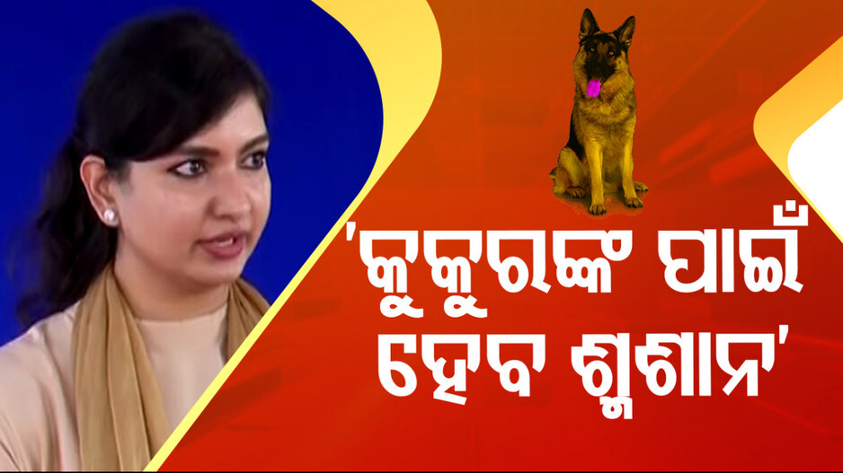 କୁକୁରଙ୍କ ପାଇଁ ଶ୍ମଶାନ କରିବେ ରାଜ୍ୟ ସରକାର 