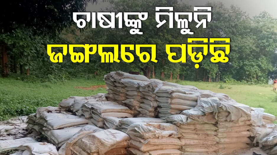 ଚାଷୀଙ୍କୁ ମିଳୁନି...କିନ୍ତୁ ଜଙ୍ଗଲରେ ପଡ଼ି ରହିଛି ଶହ ଶହ ବସ୍ତା ଡୋଲୋମାଇଟ୍