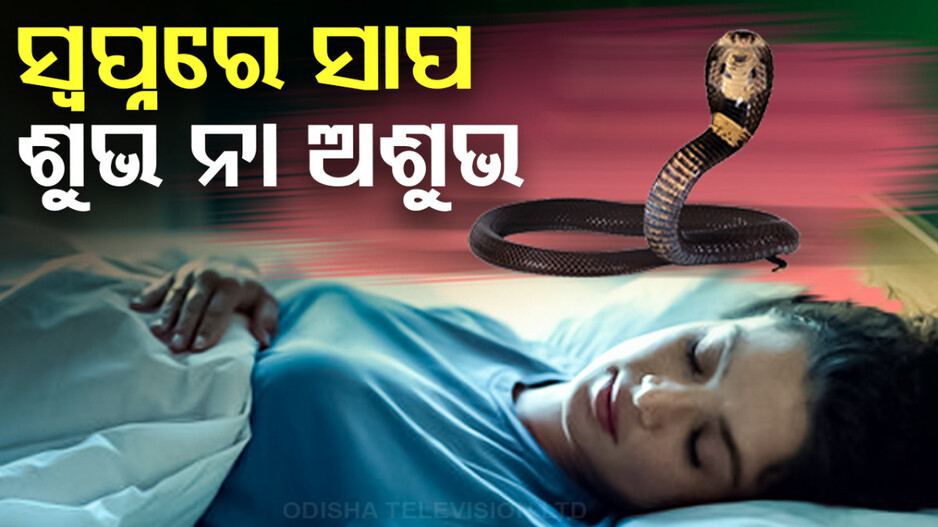ସ୍ୱପ୍ନରେ ପୁଳା ପୁଳା ସାପ ଦେଖିଲେ ଅଶୁଭ କିନ୍ତୁ ଗୋଟିଏ ସାପ ଫଣା ଟେକିଲେ ଶୁଭ !