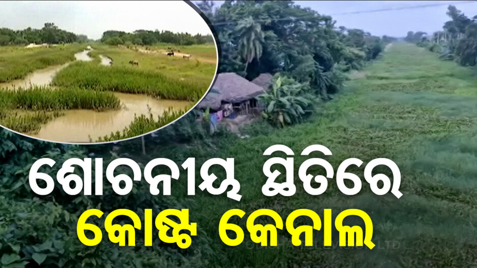 ଏଇ କେନାଲ ଥିଲା ଓଡ଼ିଶା ବାଣିଜ୍ୟର ମୁଖ୍ୟ ରାସ୍ତା, ହେଲେ ଏବେ ଅବସ୍ଥା ସଂକଟରେ