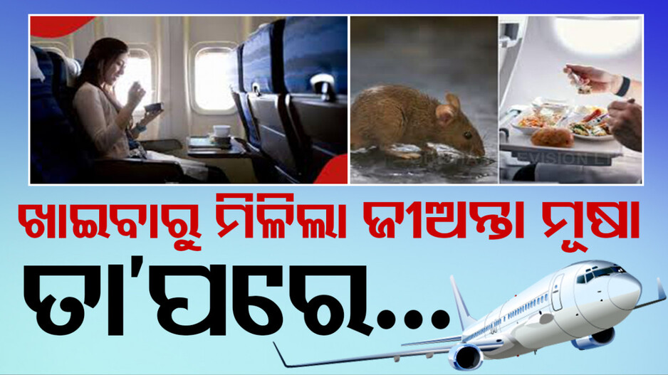 ଖାଦ୍ୟ ପ୍ୟାକେଟରେ ବାହାରିଲା ଜୀଅନ୍ତା ମୂଷା; ଜରୁରୀ ଅବତରଣ କଲା ବିମାନ