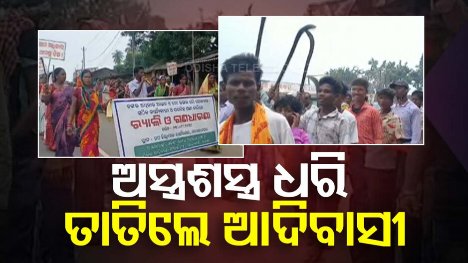 ତାତିଲେ ଆଦିବାସୀ .. ଜଙ୍ଗଲ ଜମିର ସଂପୂର୍ଣ୍ଣ ଅଧିକାର ପାଇଁ ଦାବି