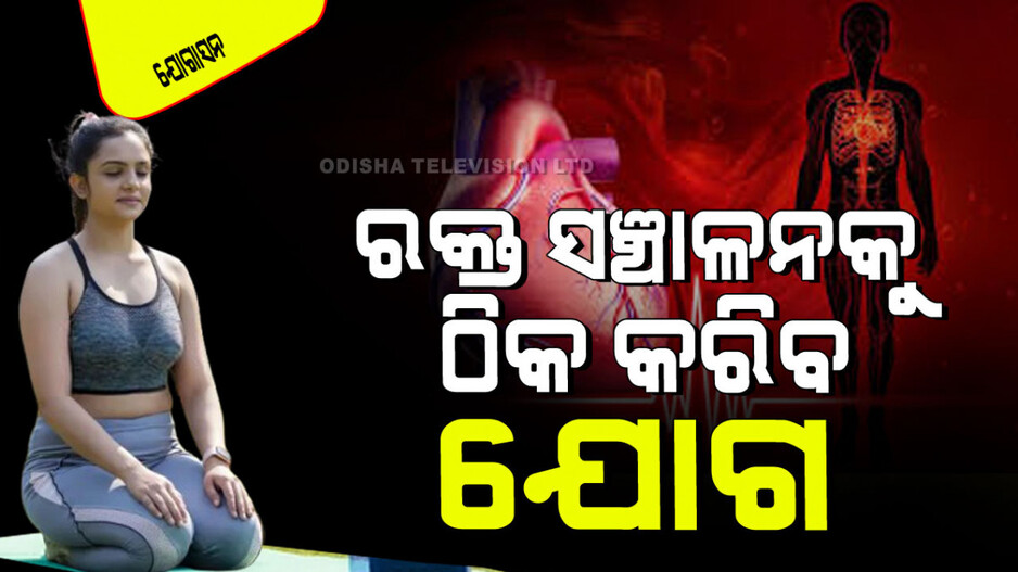 Yogasana: ଠିକ୍ ହେଉନି କି ରକ୍ତ ସଞ୍ଚାଳନ… କରନ୍ତୁ ଏହି ୪ ଆସନ, ମିଳିବ ଅଦ୍ଭୁତ ଫଳ