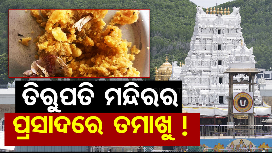 ପ୍ରଥମେ ଚର୍ବି, ଏବେ ତିରୁପତି ମନ୍ଦିର ପ୍ରସାଦରୁ ବାହାରିଲା ତମାଖୁ !