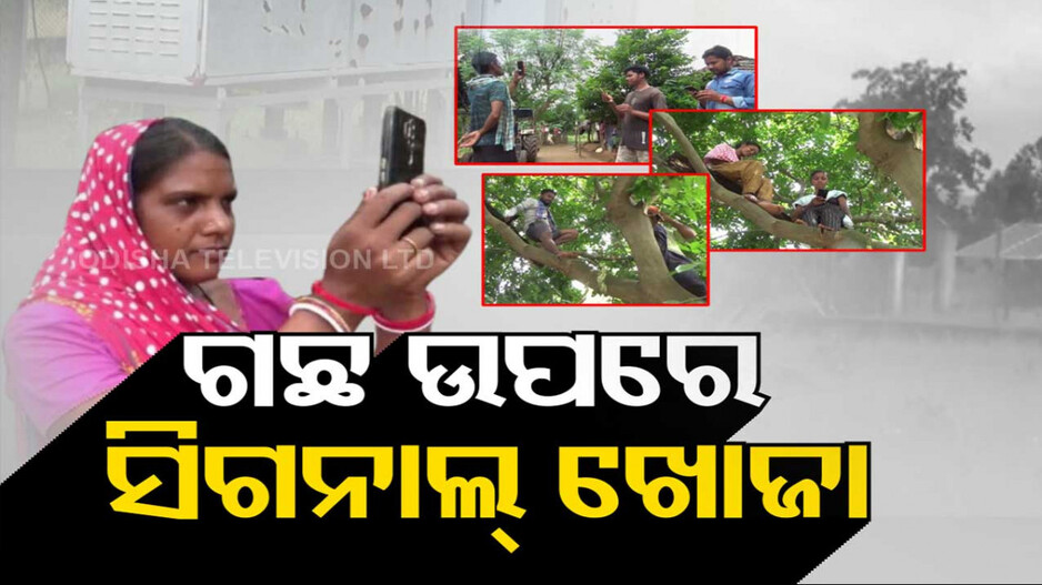 ଆସୁନି ମୋବାଇଲ୍ ସିଗନାଲ୍, ଗଛ ଉପରେ ଚଢ଼ି ନେଟୱର୍କ ସର୍ଚ୍ଚ କରୁଛନ୍ତି ଲୋକ