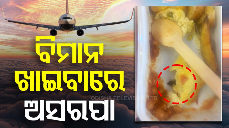 ଏୟାର ଇଣ୍ଡିଆ ବିମାନ ଖାଇବାରେ ମିଳିଲା ଅସରପା, ଭିଡିଓ ହେଲା ଭାଇରାଲ