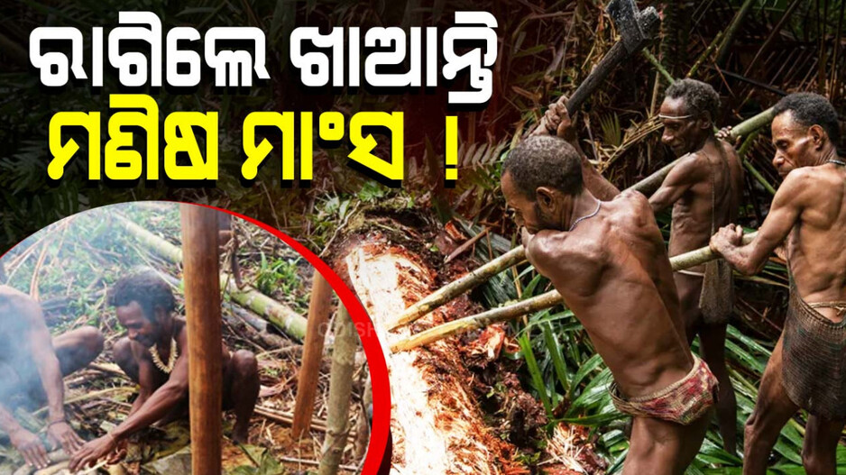 ସଭ୍ୟତା ଏଠି ହାର୍ ମାନେ!! ମଣିଷ ମାଂସ ସଉକ ପୂରା କରେ!!
