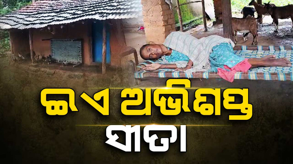 ପାଦ ଚାଲୁନି, କହିବାକୁ ନାହିଁ ଶକ୍ତି; ଗୁହାଳରେ କଟୁଛି ସୀତାଙ୍କ ଜୀବନ