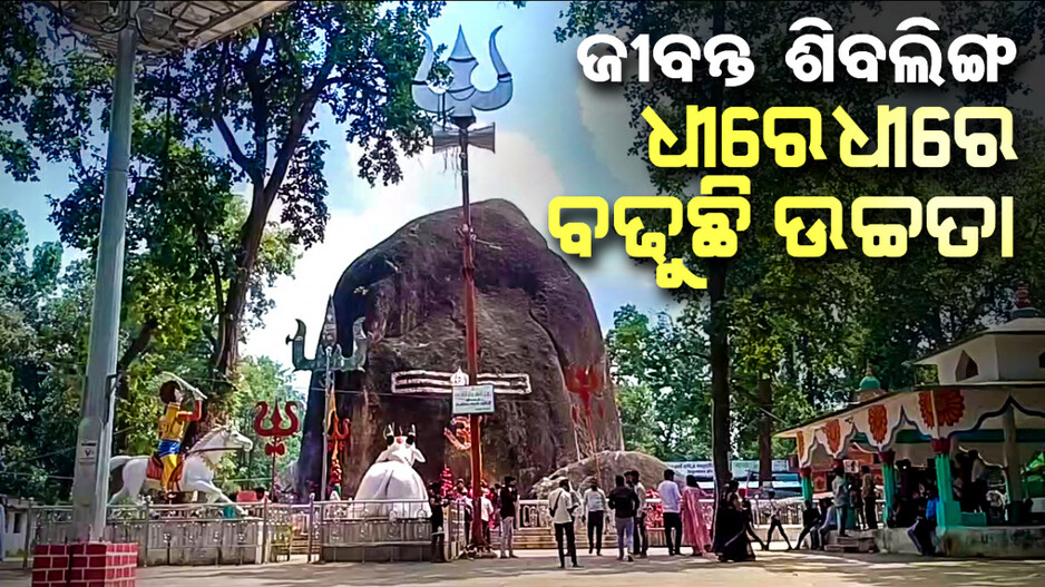 ଜୀବନ୍ତ ଶିବଲିଙ୍ଗ, ଧୀରେ ଧୀରେ ବଢ଼ୁଛି ଉଚ୍ଚତା