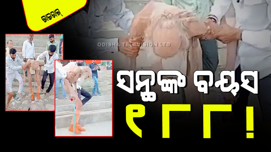 Viral Video: ଗୁମ୍ଫାରୁ ମିଳିଲେ ଜଣେ ବୃଦ୍ଧ ସନ୍ଥ; କୁହାଯାଉଛି ବୟସ ୧୮୮ ବର୍ଷ