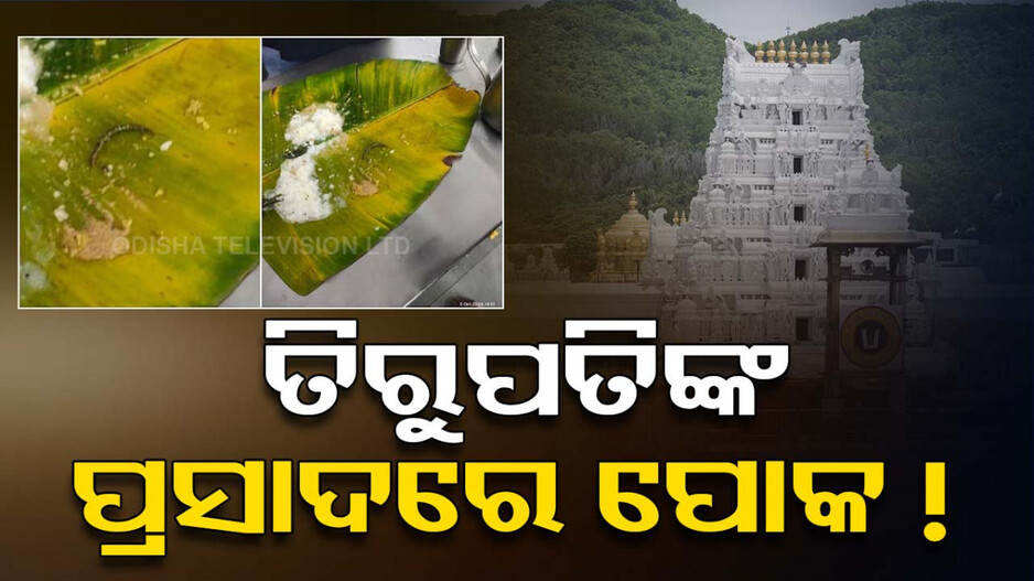 ତିରୁପତିଙ୍କ ପ୍ରସାଦ ନେଇ ପୁଣି ଅଭିଯୋଗ ଆଣିଲେ ଭକ୍ତ, କହିଲେ…