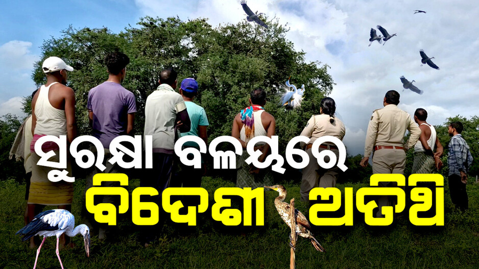 ଗାଁକୁ ଆସିଛନ୍ତି ବିଦେଶୀ ଅତିଥି, ସୁରକ୍ଷା ଦେଉଛନ୍ତି ଗ୍ରାମବାସୀ