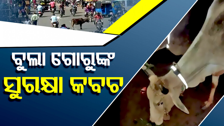 Special Story: ପୋଲିସ ବାବୁଙ୍କ ମହାନତା, ଗୋମାତା ଓ ମଣିଷଙ୍କୁ ସୁରକ୍ଷା ଦେବାକୁ ନିଆରା ପ୍ରୟାସ
