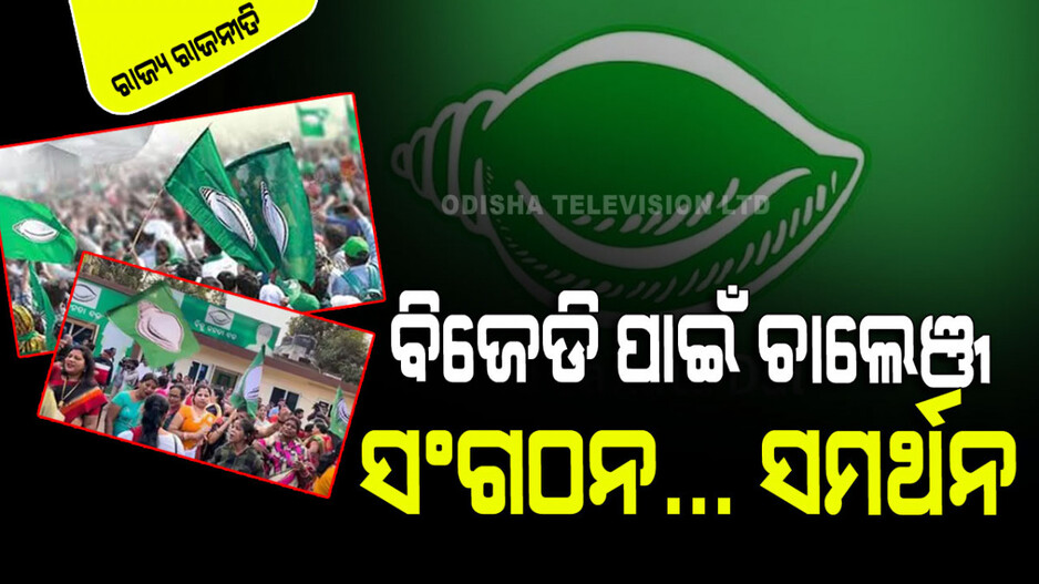 ବିଜେଡିରେ ଏବେ ବରିଷ୍ଠଙ୍କୁ ଗୁରୁତ୍ୱ, ହେଲେ ସାଥ୍ ଦେବେ ତ ଯୁବନେତା ?