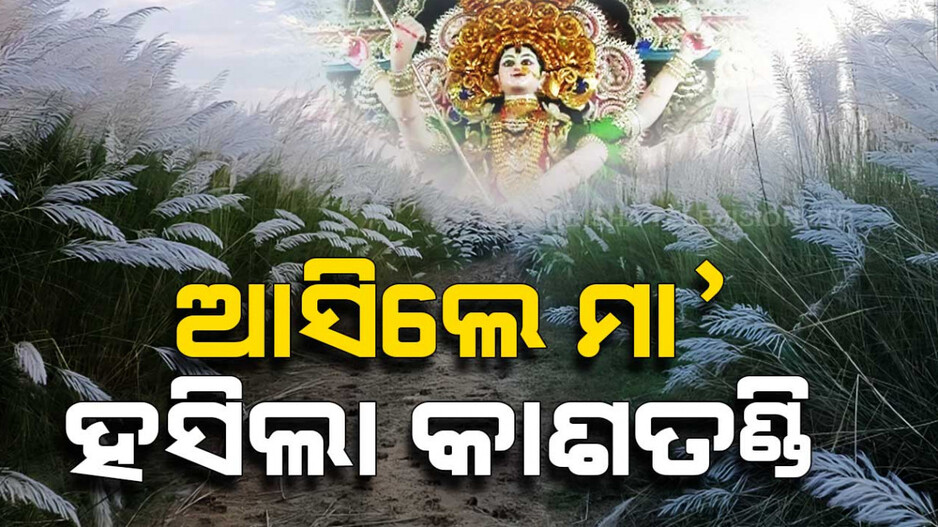 ଖିଲିଖିଲି ହସୁଛି କାଶତଣ୍ଡି, ଆସୁଛନ୍ତି ମା’ ଜଗତ୍‌ଜନନୀ