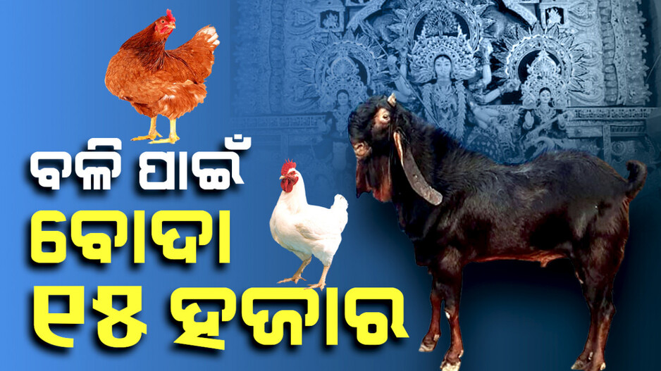ଗାଁରେ ମିଳୁନି ଆଉ ନାଲି ଗଞ୍ଜା,ବୋଦା ଟପିଲାଣି ୧୫ ହଜାର !