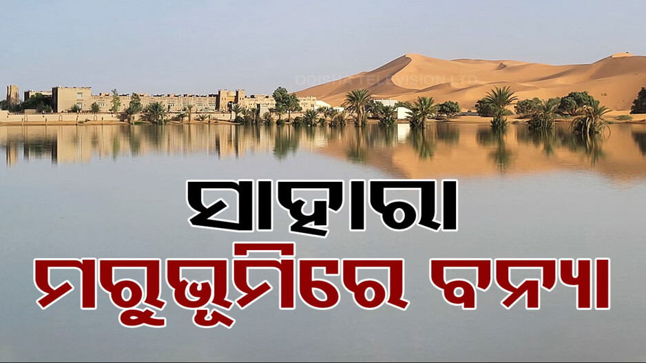 ୫୦ ବର୍ଷ ପରେ ବନ୍ୟାରେ ବୁଡ଼ିଲା ସାହାରା ମରୁଭୂମି; କେମିତି ହେଲା ଚମତ୍କାର ଜାଣନ୍ତୁ...