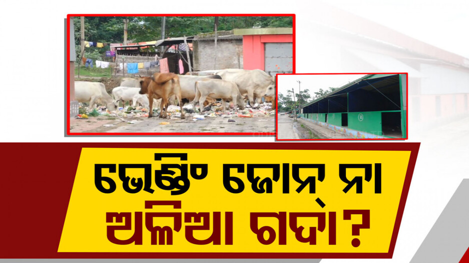 କାହା ପାଇଁ ଭେଣ୍ଡିଂ ଜୋନ୍ ?