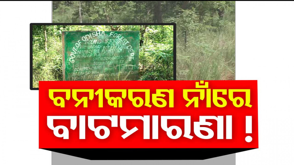 ବନୀକରଣ ନାଁରେ ଲକ୍ଷ ଲକ୍ଷ ଟଙ୍କା ବାଟମାରଣା !