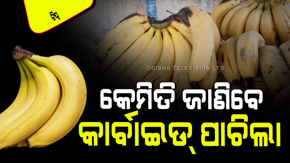 Tips and Tricks: କାର୍ବାଇଡ୍ ଦିଆ କଦଳୀ ଭାରି କ୍ଷତିକାରକ; ୪ଟି ଉପାୟରେ ଜାଣନ୍ତୁ ଏହା ଗଛ ପାଚିଲା କି ନାହିଁ…