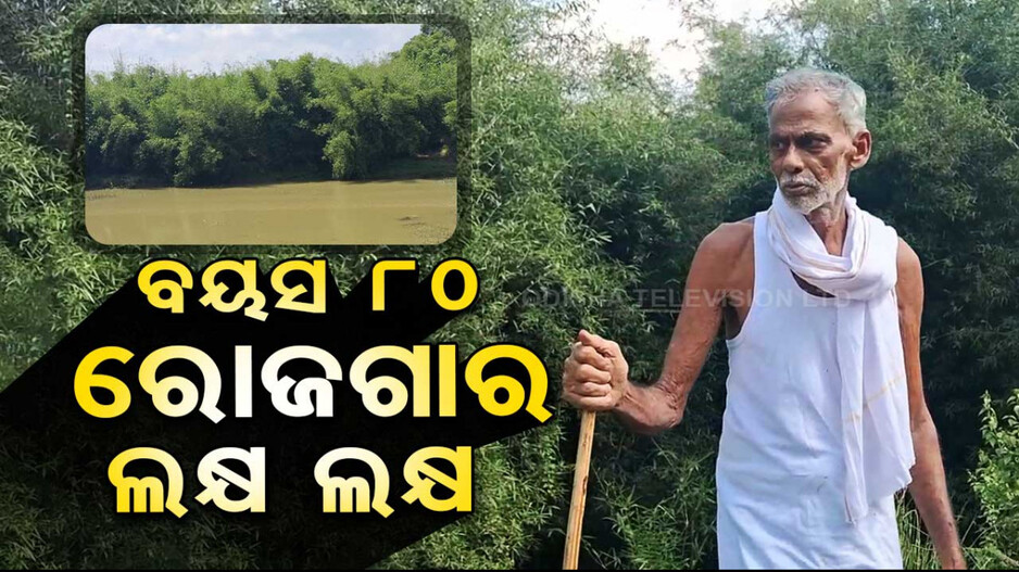 Special Story: ଦୃଢ଼ ଇଚ୍ଛା ଶକ୍ତି ଆଗରେ ହାର ମାନିଛି ବୃଦ୍ଧାବସ୍ଥା; ବୟସ ୮୦, ରୋଜଗାର ଲକ୍ଷ ଲକ୍ଷ...