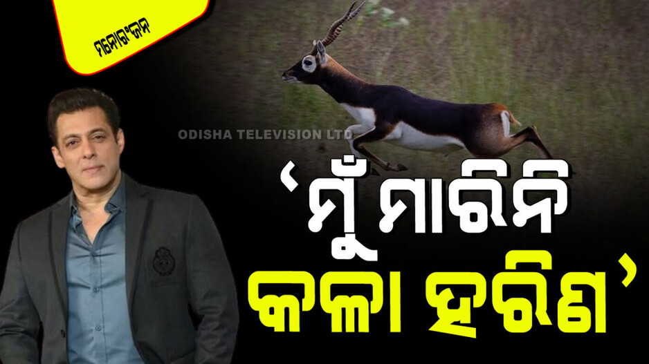 Salman Khan: ସଲମାନ କହିଲେ ‘ମୁଁ କଳା ହରିଣ ଶିକାର କରି ନାହିଁ’; ଭାଇରାଲ୍ ହେଉଛି ଭିଡିଓ