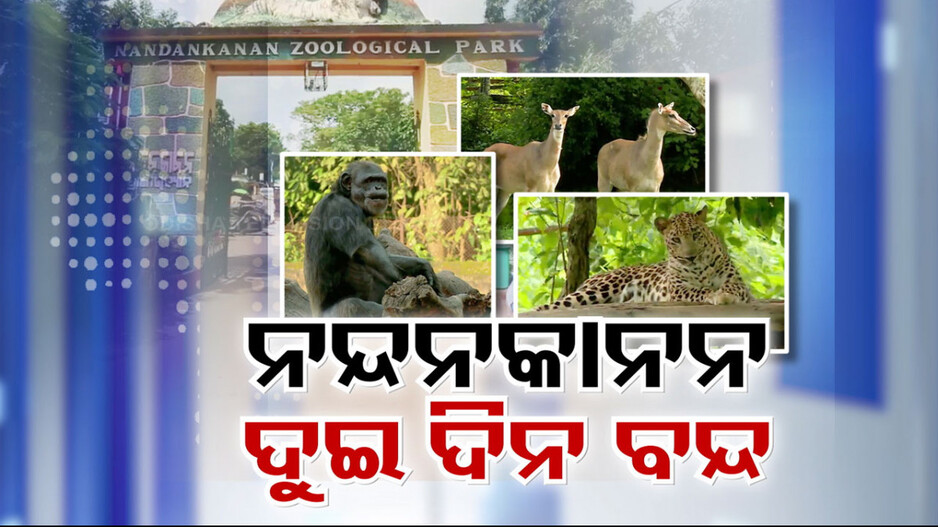 ଝଡ଼଼ ପୂର୍ବରୁ ନନ୍ଦନକାନନ ପ୍ରାଣୀ ଉଦ୍ୟାନରେ କୋଳାହଳର ପରିବେଶ