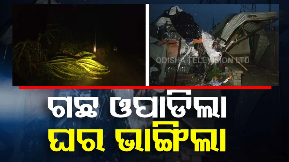 Cyclone Dana: ଲ୍ୟାଣ୍ଡଫଲ୍ କଲା, ତାଉ ଦେଖାଇଲା; ଟଳିପଡ଼ିଲା ଗଛଲତା, ଭାଙ୍ଗିଲା ଚାଳ ଛପର ଘର