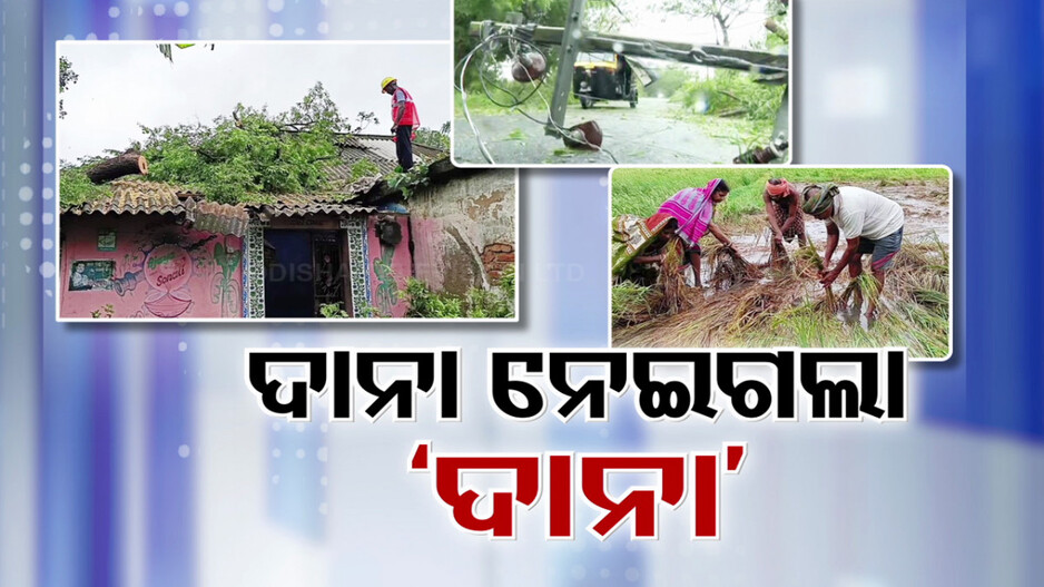 ବହୁ ବିପନ୍ନଙ୍କ ଜୀବିକା ବୁଡ଼ାଇ ଦେଲା ‘ଦାନା’ର କୋପ