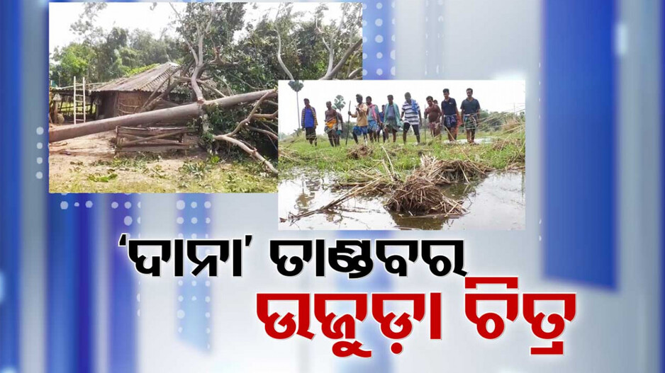 ଉଜୁଡ଼ା ଚିତ୍ର ! କେଉଁଠି ବତୁରିଛି ଫସଲ, କାହାର ବୁଡ଼ିଛି କୂଳ ବେଉଷା