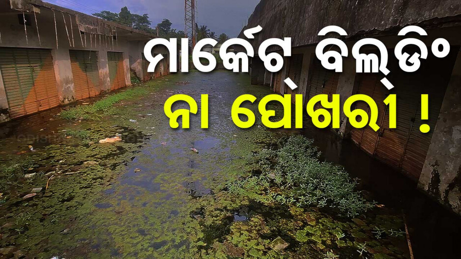 Odisha Govt Negligence Over Gunupur Market Complex: ଭେଳିକି କରୁଥିଲେ ପୂର୍ବ ସରକାର ! ପୋଖରୀ ଭିତରେ ମାର୍କେଟ୍ ବିଲ୍ଡିଂ