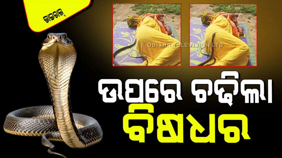 Viral Video: ବାହାରେ ଶୋଇଥିଲେ ମହିଳା, ହଠାତ୍ ସାପ ଆସି ଚଢ଼ିଲା, ଆଉ ତା’ ପରେ…