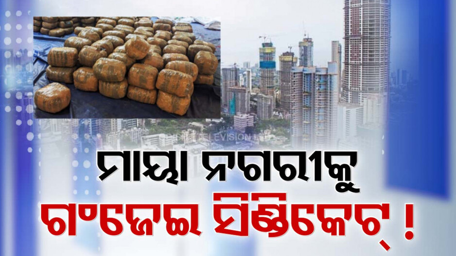 ଗଂଜେଇ ଚୋରା ଚାଲାଣର ହବ୍ ପାଲଟିଛି କି ଓଡିଶା ?