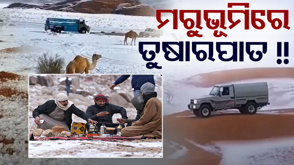 Saudi Arabian desert: ଇତିହାସରେ ପ୍ରଥମ !! ମରୁଭୂମିରେ ତୁଷାରପାତ