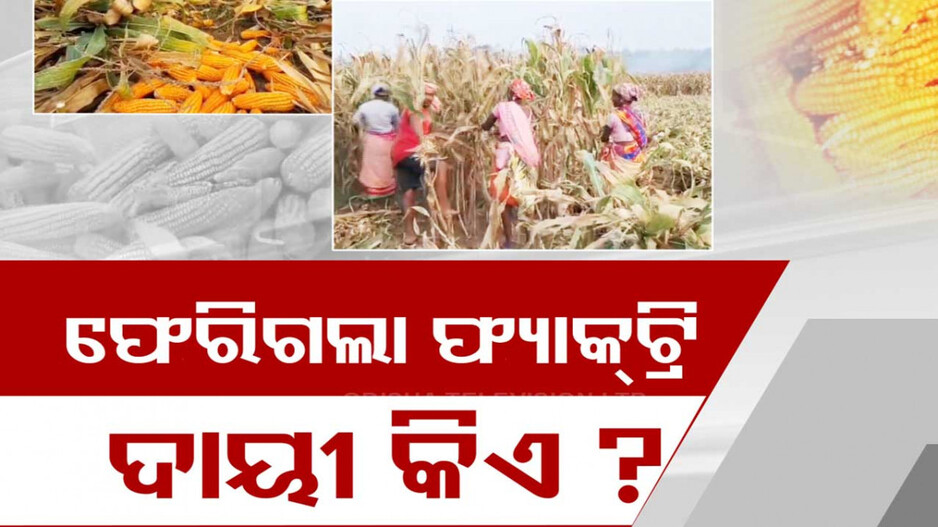 Rs 500-Crore Ethanol Project Exits: ଗତ ସରକାର ଅମଳରେ ମିଳିପାରିଲାନି ଜମି; ଫେରିଗଲା ୫୦୦ କୋଟିର ଫ୍ୟାକ୍ଟ୍ରି? 