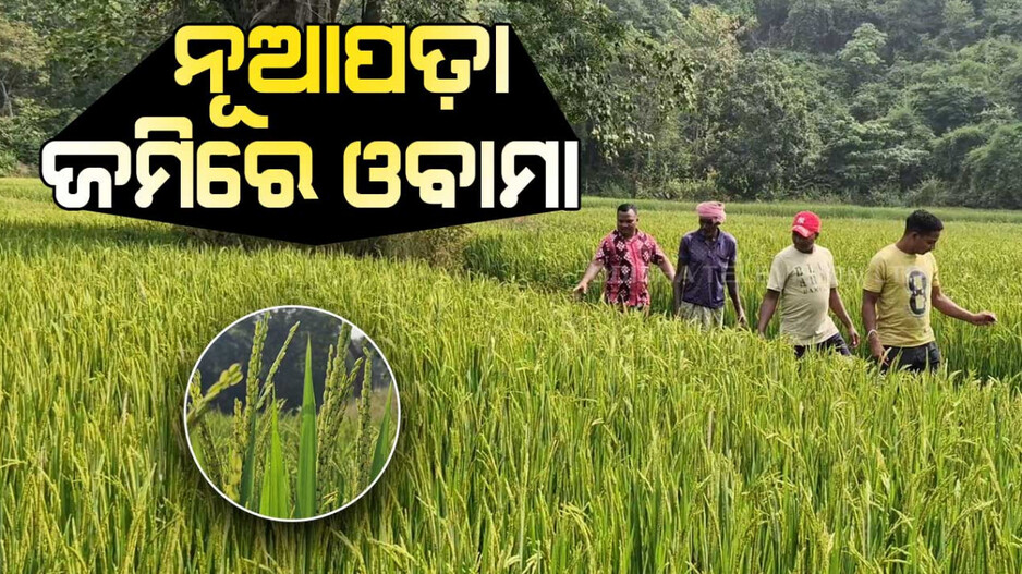ଜମିରେ ହସୁଛି ଓବାମା