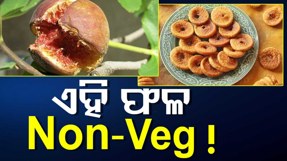 Non-Vegetarian Fruit: ନିରାମିଷ ନୁହେଁ ‘ଅଞ୍ଜିର’ ହେଉଛି ଆମିଷ ଫଳ ! ଜାଣନ୍ତୁ ଏହା ପଛର ସତ...
