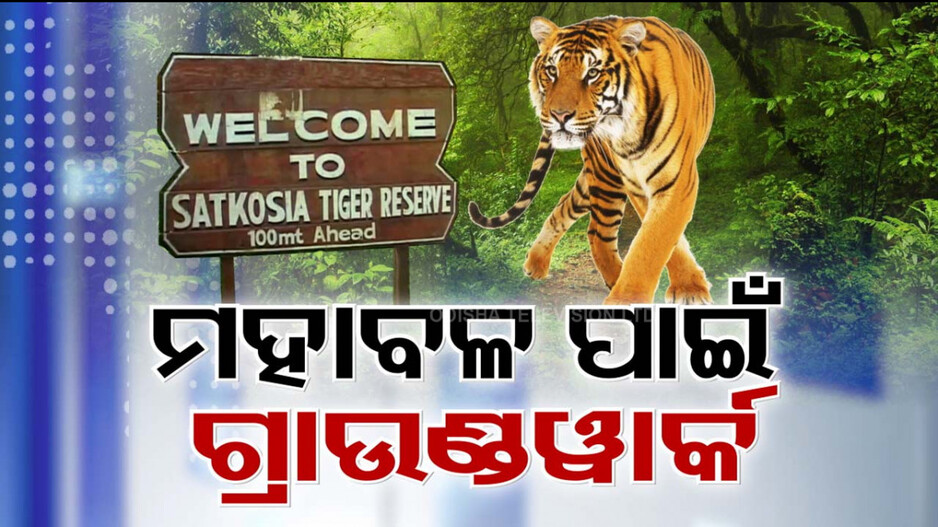 ସାତକୋଶିଆ କୋର୍ ଏରିଆରେ OTV