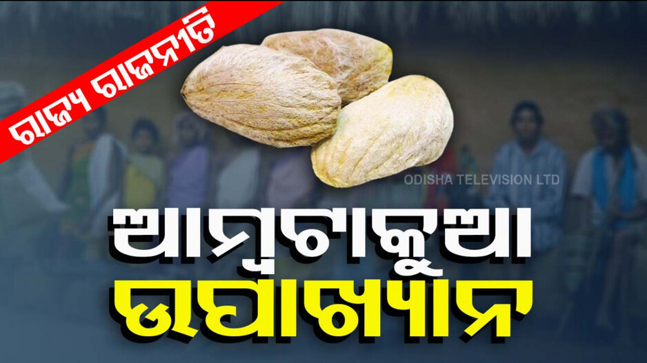 Mango Kernel Deaths: 'ଆମ୍ବଟାକୁଆ' ଟ୍ରାଜେଡିରୁ ମିଳିବ କି ମହାଶିକ୍ଷା !